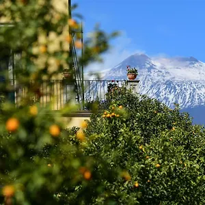 https://giardino-arancio.sicilyhotelsitaly.net